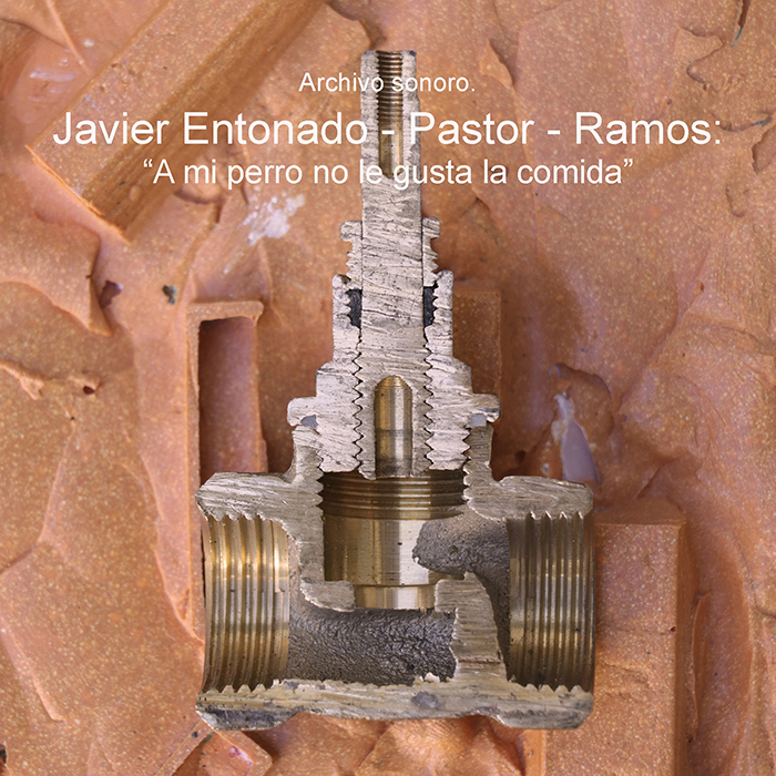 imagen 41.  javier entonado. pastor. ramos